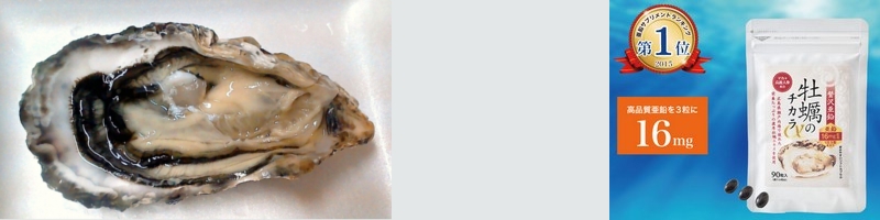 ɏ㈟Tvyґ򈟉 ỹ`JzTCg